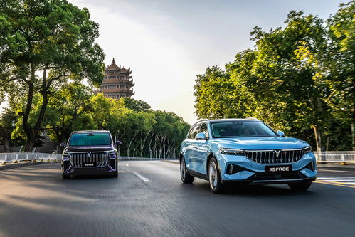 嵐圖汽車 人事結構優化促銷量增長，7月市場表現亮眼